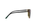 Polo Sonnenbrille PH 4185U 5003/71