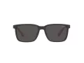 Polo Sonnenbrille PH 4189U 537587