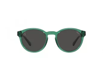 Polo Sonnenbrille PH 4192 608487