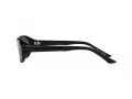 Polo Sonnenbrille PH 4197U 500187