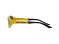 Polo Sonnenbrille PH 4197U 596187