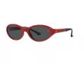 Polo Sonnenbrille PH 4197U 609187