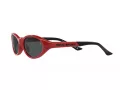 Polo Sonnenbrille PH 4197U 609187
