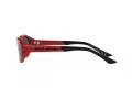 Polo Sonnenbrille PH 4197U 609187