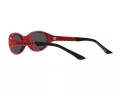 Polo Sonnenbrille PH 4197U 609187