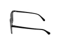 Polaroid Sonnenbrille PLD 4163/S 7C5/M9