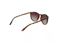 Polaroid Sonnenbrille PLD 6003/N/S V08/LA
