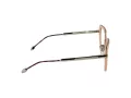 Philipp Plein Brillen PP 036S 0579