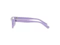 Polo Brillen PP 8543U 6018 47