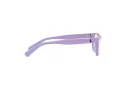 Polo Brillen PP 8543U 6018 47
