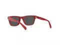 Polo Sonnenbrille PP 9504U 5257/87