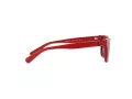 Polo Sonnenbrille PP 9504U 5257/87