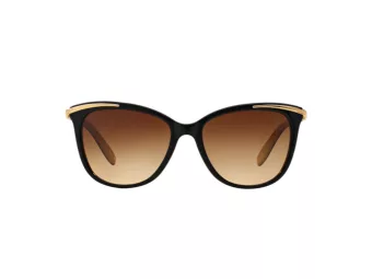 Ralph Sonnenbrille RA 5203 109013