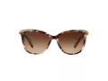 Ralph Sonnenbrille RA 5203 146313