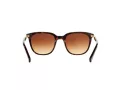 Ralph Sonnenbrille RA 5206 137813