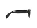 Ray-Ban Sonnenbrille RB 0880S 901/31