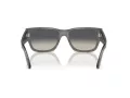 Ray-Ban Carlos Sonnenbrille RB 0947S 667571