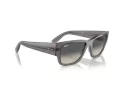 Ray-Ban Carlos Sonnenbrille RB 0947S 667571