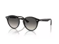 Ray-Ban Sonnenbrille RB 0RB2180 601/11 49