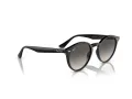 Ray-Ban Sonnenbrille RB 0RB2180 601/11 51