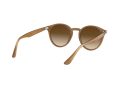 Ray-Ban Sonnenbrille RB 2180 6166/13