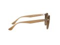 Ray-Ban Sonnenbrille RB 2180 6166/13