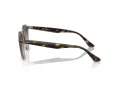 Ray-Ban Sonnenbrille RB 2180 6788V1