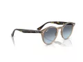 Ray-Ban Sonnenbrille RB 2180 6788V1