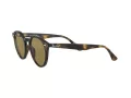 Ray-Ban Sonnenbrille 2180 710/73