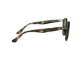 Ray-Ban Sonnenbrille 2180 710/73