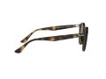 Ray-Ban Sonnenbrille RB 2180 710/73