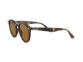 Ray-Ban Sonnenbrille RB 2180 710/83