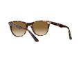 Ray-Ban Wayfarer Ii Sonnenbrille RB 2185 1334/51