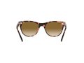Ray-Ban Wayfarer Ii Sonnenbrille RB 2185 1334/51