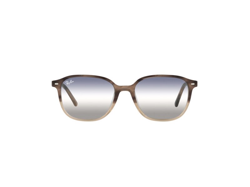 Ray-Ban Leonard Sonnenbrille RB 2193 1327/GF 53