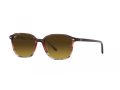 Ray-Ban Leonard Sonnenbrille RB 2193 138085
