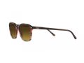 Ray-Ban Leonard Sonnenbrille RB 2193 138085