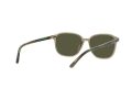 Ray-Ban Leonard Sonnenbrille RB 2193 6635/5C 53
