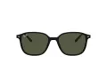 Ray-Ban Leonard Sonnenbrille RB 2193 901/31 53