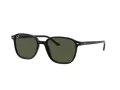 Ray-Ban Leonard Sonnenbrille RB 2193 901/31 53