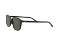 Ray-Ban Leonard Sonnenbrille RB 2193 901/31 53