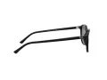 Ray-Ban Leonard Sonnenbrille RB 2193 901/58