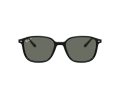 Ray-Ban Leonard Sonnenbrille RB 2193 901/58 55