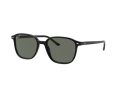 Ray-Ban Leonard Sonnenbrille RB 2193 901/58 55