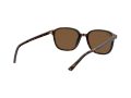 Ray-Ban Leonard Sonnenbrille RB 2193 902/57