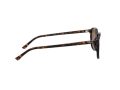 Ray-Ban Leonard Sonnenbrille RB 2193 902/57