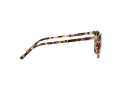 Ray-Ban Elliot Sonnenbrille RB 2197 1357/57