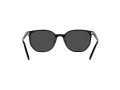 Ray-Ban Elliot Sonnenbrille RB 2197 901/48 52