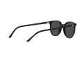 Ray-Ban Elliot Sonnenbrille RB 2197 901/48 52