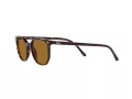 Ray-Ban Elliot Sonnenbrille RB 2197 902/33 52